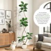 7FT Artificial Plants Rubber Tree  Faux Fiddle Leaf Fig Tree Indoor Artificial Trees Tall Plant Fake Tree Tropical Large Floor Tree Real Touch - 2 of 4