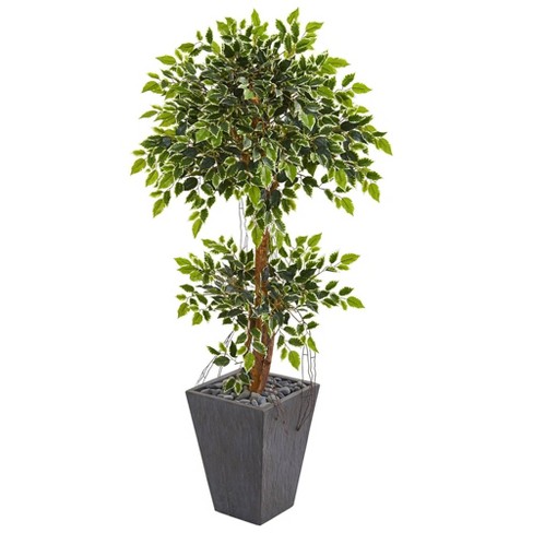 70in. Variegated Ficus Artificial Tree in Handmade Black and White Natural  Jute and Cotton Planter UV Resistant (Indoor/Outdoor)