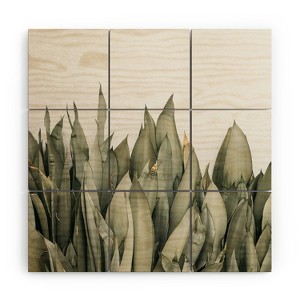 Romana Lilic / LA76 Photography Moonshine Snake Plant 4' x 4' Wood Wall Mural - Society6 - 1 of 2