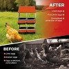 3/ 4 Hole Metal Chicken Nesting Box with Removable Roll-Out Tray Easy Egg Collection & Clean Galvanized Steel Laying Box, for Backyard Coop Orange - 3 of 4