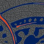 edmonton oilers