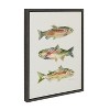 Kate and Laurel Sylvie Rainbow Trout Framed Canvas by Cathy Zhang, 18x24, Dark Gray - 2 of 4