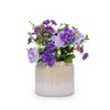 Grungis Modern Planters for Outdoor Plants,Gradient Ceramic Flowerpot Planters for Patio,Garden,Windowsill,2PCS - 3 of 4