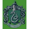 Boy's Harry Potter Hogwarts Slytherin T-Shirt - 2 of 4