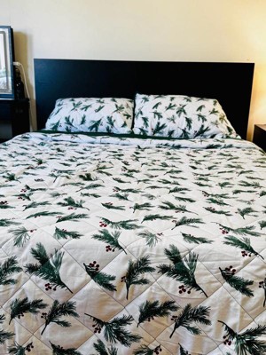 Guest review image 3 of 4, zoom in