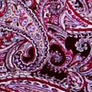 dark berry paisley