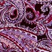 dark berry paisley