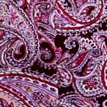 dark berry paisley