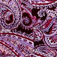 dark berry paisley