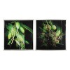 20"x20" Set of 2 Botanical Photography Framed Wall Arts Green/Black - A&B Home: Modern Style, MDF & Glass, Vertical Orientation - 2 of 3