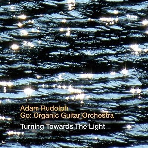 Go: Organic Guitar Orchestra - Turning Towards the Light (CD) - 1 of 1