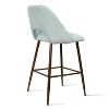 26 Inches Edwin Mint Upholstered Counter Height Stool (set Of 2) -the ...