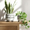 Sagebrook Home Set of Two 6"/8" Ceramic Abstract Design Footed Planters - 3 of 4