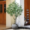 DR.Planzen 7ft UV Resistant Artificial Olive Tree with Grey Tall Planter, Pre Potted Fake Olive Tree for Indoor Outdoor Home Decor, Big Faux Plants - 2 of 4
