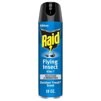 Raid Essential Fliyng Insect Killer - 10oz : Target