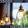 Luxrite A19 LED Light Vintage Bulbs 60W Equivalent, 3500K Natural White Dimmable, 800 Lumens 8W, UL Listed E26 Medium Base 4 Pack - 2 of 4