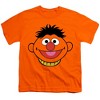 Boys' Short Sleeve Sesame Street Ernie Full Face T-Shirt - 2 of 4