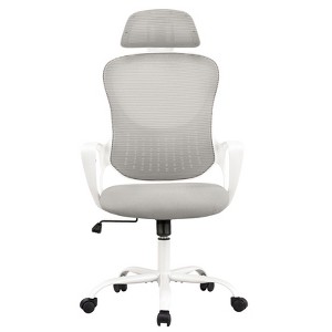 Gulches High-Back Mesh Rolling Task Chair - Adjustable Headrest/Lumbar Support, 360° Wheels, 250lbs Capacity - 1 of 4