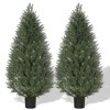 COZONY 4 FT Artificial Cedar Trees (Set of 2), UV-Resistant Faux Evergreen Topiary for Indoor & Outdoor - 2 of 4
