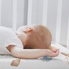 Sweet Jojo Designs Boy, Girl, Unisex/Gender Neutral Baby Bassinet Fitted Sheets Set Seashells Multicolor 2pc - 3 of 4