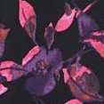 purple floral