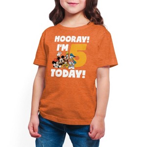 Girls' - Disney - Hooray I'm 5 Today Short Sleeve Graphic T-Shirt - 1 of 4