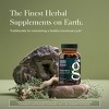 Gaia Herbs Vitex Berry (Chaste Tree) - Supports Hormone Balance & Fertility for Women - 120 Vegan Caps - 3 of 4