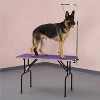 Master Equipment Groom Table w/36In Arm 36x24In Pur - 3 of 3