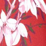 antique strawberry romantic