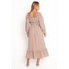 Petal and Pup Torrie Maxi Dress - 3 of 4
