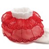 Wrapables Lil Miss Emily Double Layer Lace Ruffle Socks (Set of 5), Size 4-6 - 2 of 4