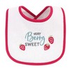 Hudson Baby Infant Girl Cotton Terry Drooler Bibs with Fiber Filling 10pk, Food Girl, One Size - 4 of 4