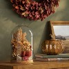 Large Preserved Fall Cloche - Threshold™ - 2 of 3