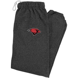 University Of The Incarnate Word Logovision Mens Primary Logo Jogger Sweatpants - 1 of 4