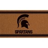Evergreen Michigan State University, PVC Mat 1C - 2 of 4