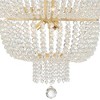 Crystorama Lighting Rylee 12 - Light Chandelier in  Antique Gold - 2 of 2