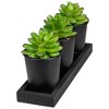 Northlight Set of 3 Mini Artificial Potted Succulents with Wood Planter 5" - image 3 of 4