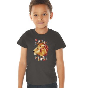 Toddler Boys' Harry Potter Gryffindor Textured Lion Headshot T-Shirt - 1 of 4