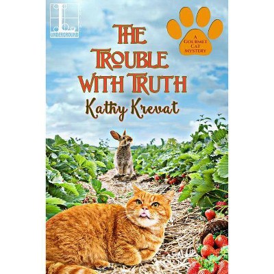 The Trouble with Truth - by  Kathy Krevat (Paperback)