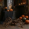 Palmer Agencies Ltd Giant Poseable Tarantula Halloween Decor | 30 Inches - 2 of 4
