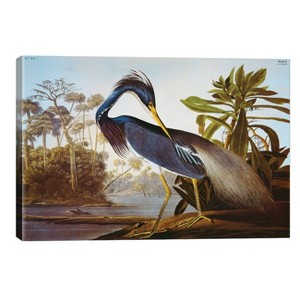 Louisiana Heron From "Birds of America" by John James Audubon Unframed Wall Canvas - iCanvas - 1 of 3