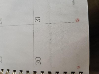 Guest review image 1 of 1, zoom in