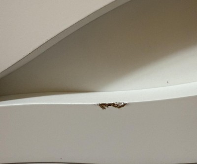 Guest review image 1 of 3, zoom in