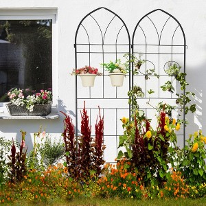 Aghana Digitals 2-Pack 78.7"x19.7" Rustproof Metal Trellis with Pot Holders for Outdoor Climbing - 1 of 4