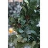 Gulches 24 in Green Shatterproof Cedar Pine Cone Christmas Holiday Wreath 1-Pack - 2 of 4