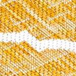 yellow/cream