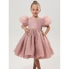 2Bunnies Girls' Organza Puff Sleeve Babydoll Fit & Flare Dress - 4 of 4