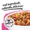 Purina Beneful Originals Real Salmon Flavor Dry Dog Food - 4 of 4