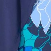 blue lined floral