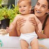 Charlie Banana Reusable Swim Diaper Snaps - 2 of 4
